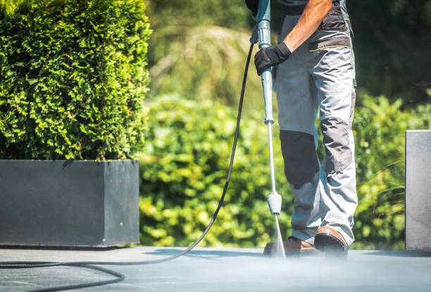 Best Driveway Pressure Washing  in Long Lake, MN