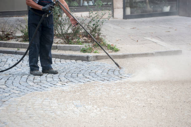 Best House Exterior Washing  in Long Lake, MN